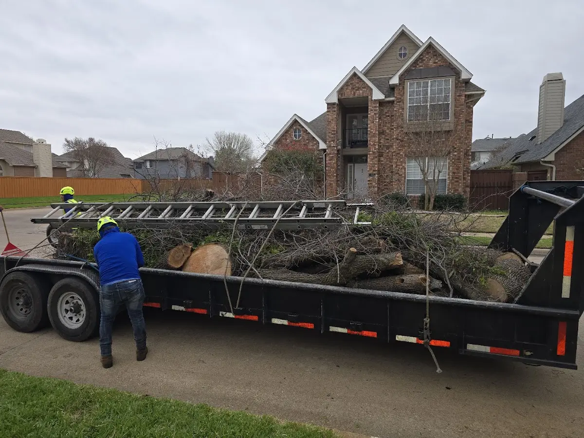 Expert Lot Clearing with proper safety equipment in Upland